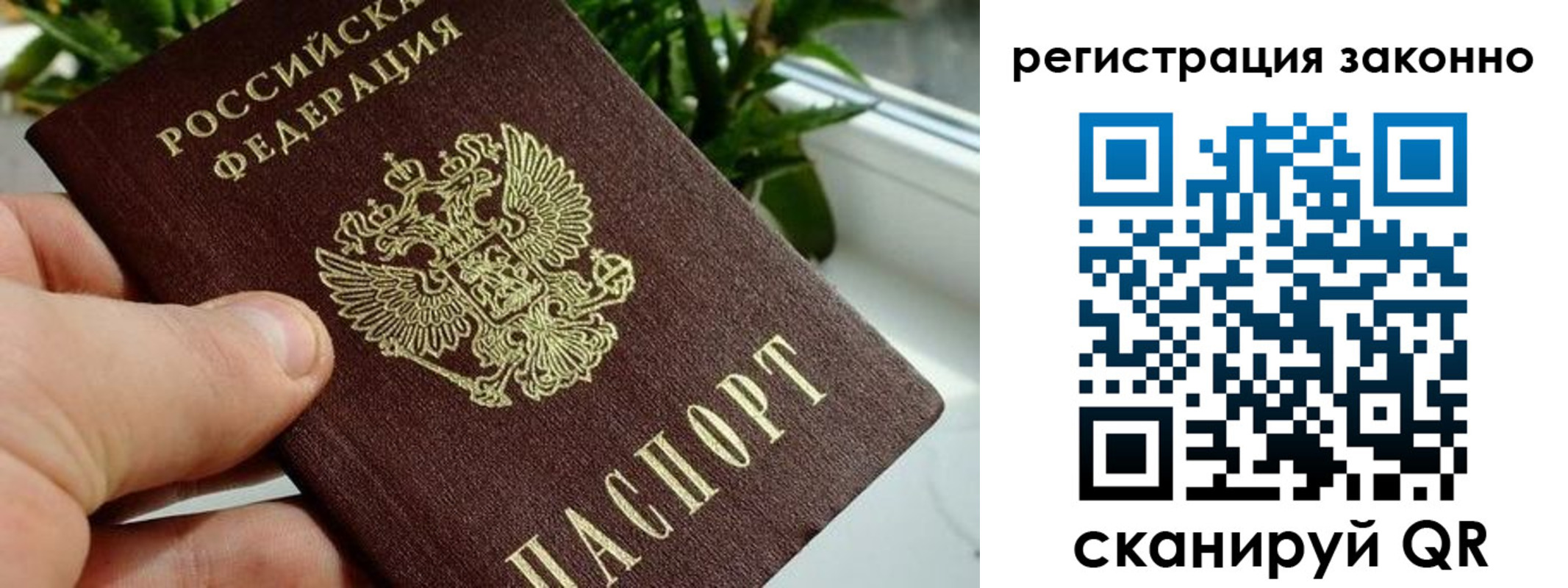 прописка гарантия в Ейске